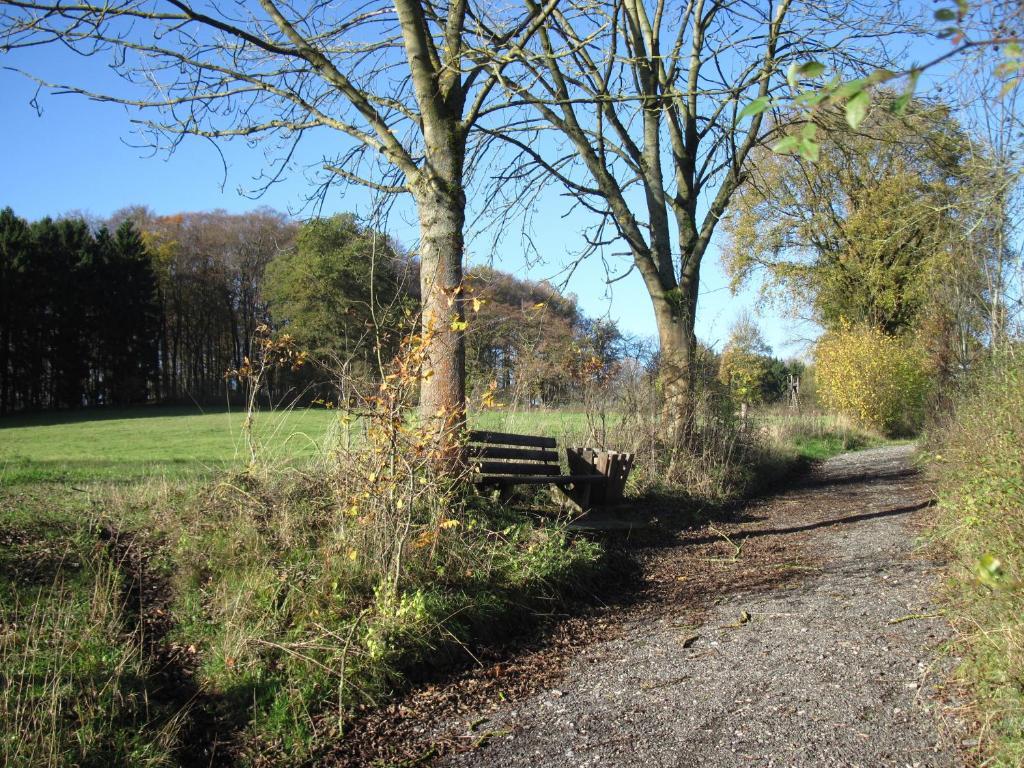 Hotel-Café Schauinsland Horn-Bad Meinberg Esterno foto
